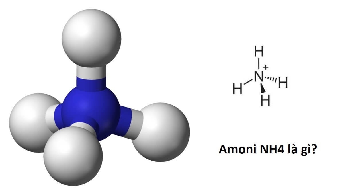 Định nghĩa Amoni là gì?
